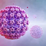 همه چیز درباره ویروس HPV